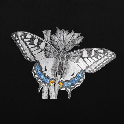 Schwalbenschwanz - Schmetterling