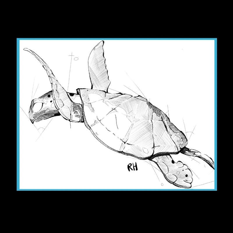 Schildkröte