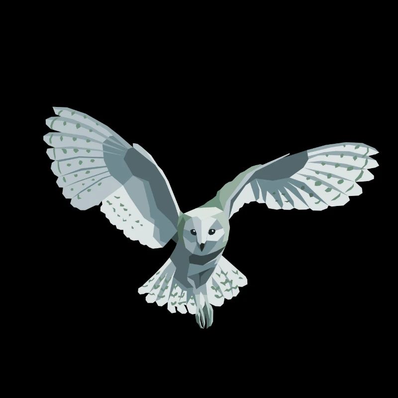 barn owl