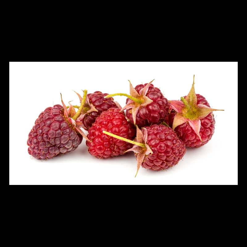 Himbeere. raspberry