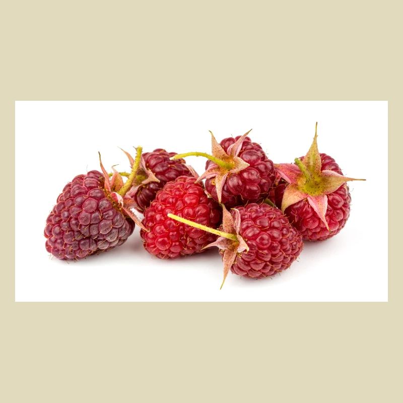 Raspberry. Raspberry