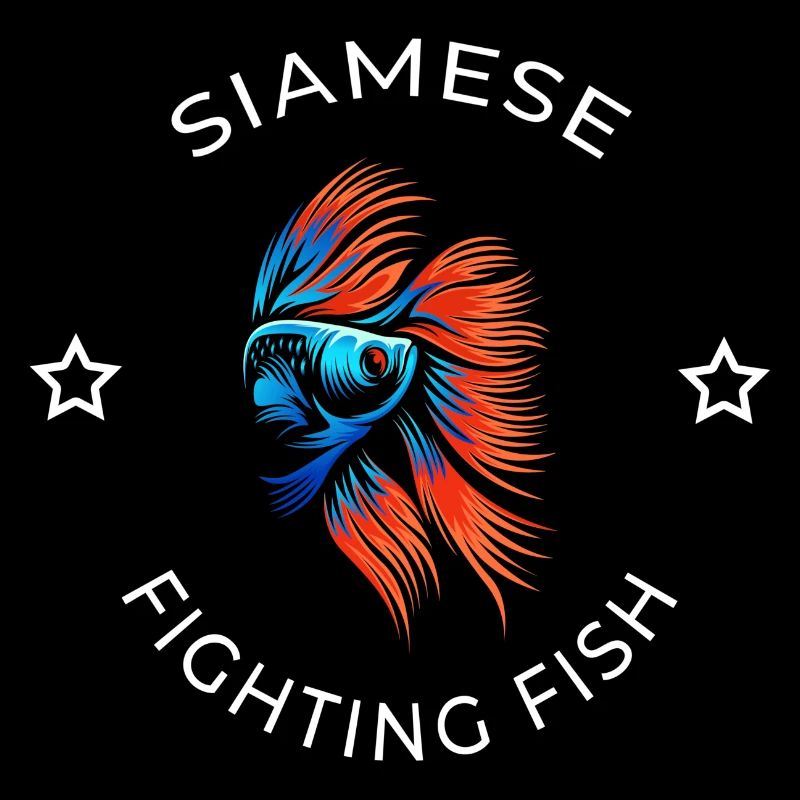 Betta Fish Siamois Fighting Fish Keeper
