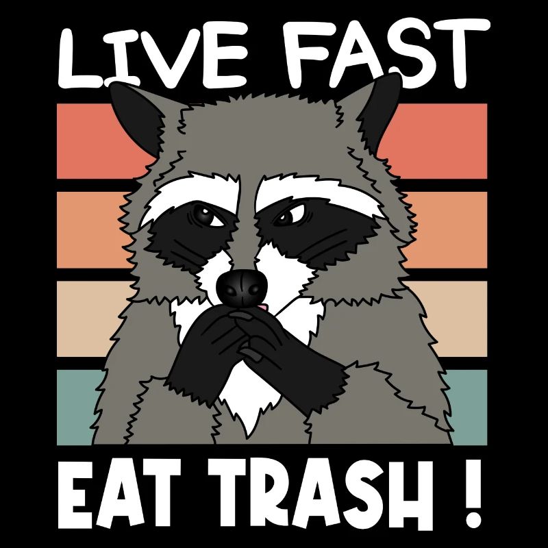 WASCHBÄR RACOON EAT TRASH Weihnachten Geschenk