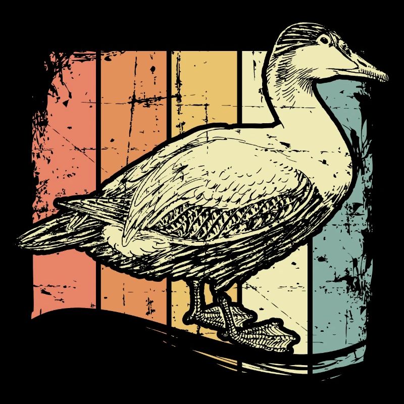 Ferme avec canards