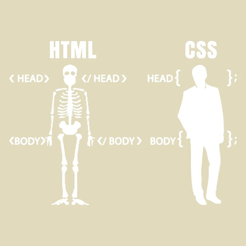 Developer Coder Definition Funny Programmer spell