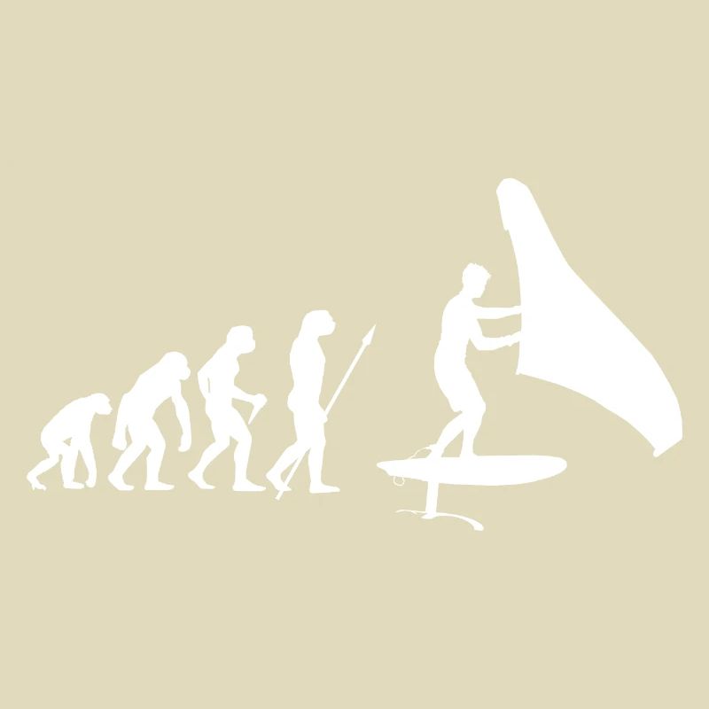 Hydrofoil Wingfoil Evolution Foil Wing Wingfoiling