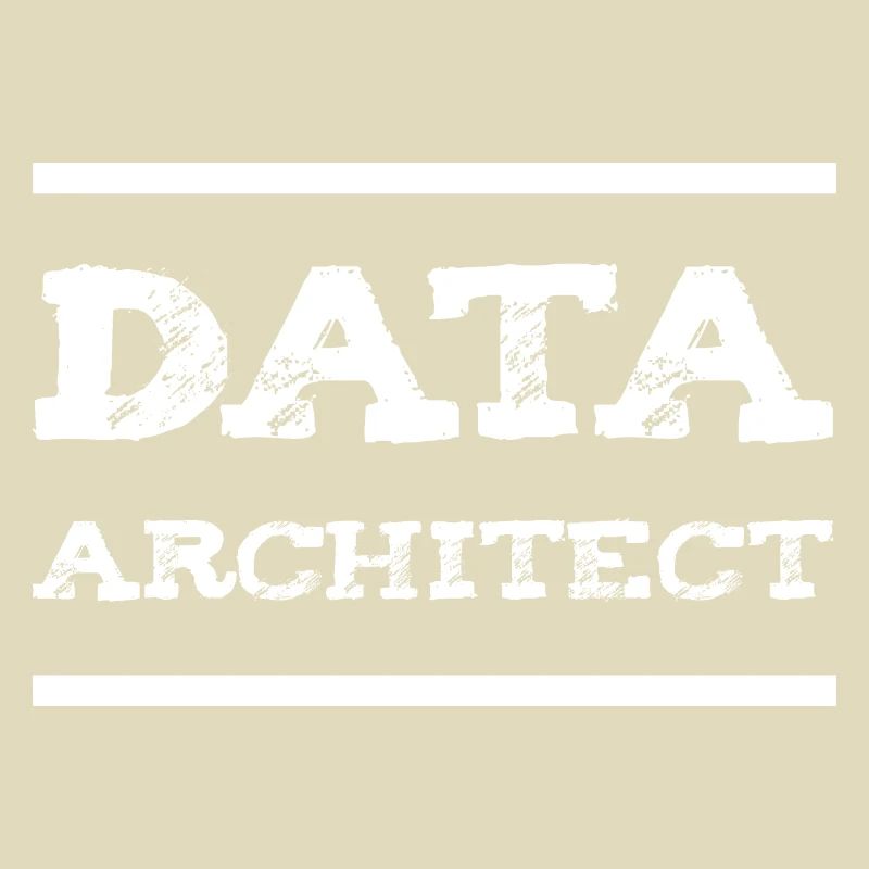 Data Architect Data Engineer IT Developer