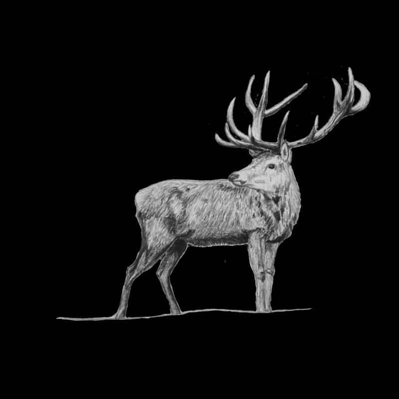 hirsch