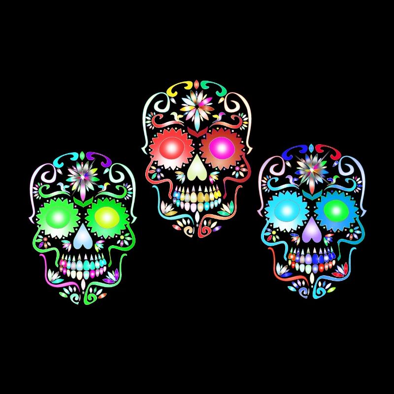 Sugar Skull Art