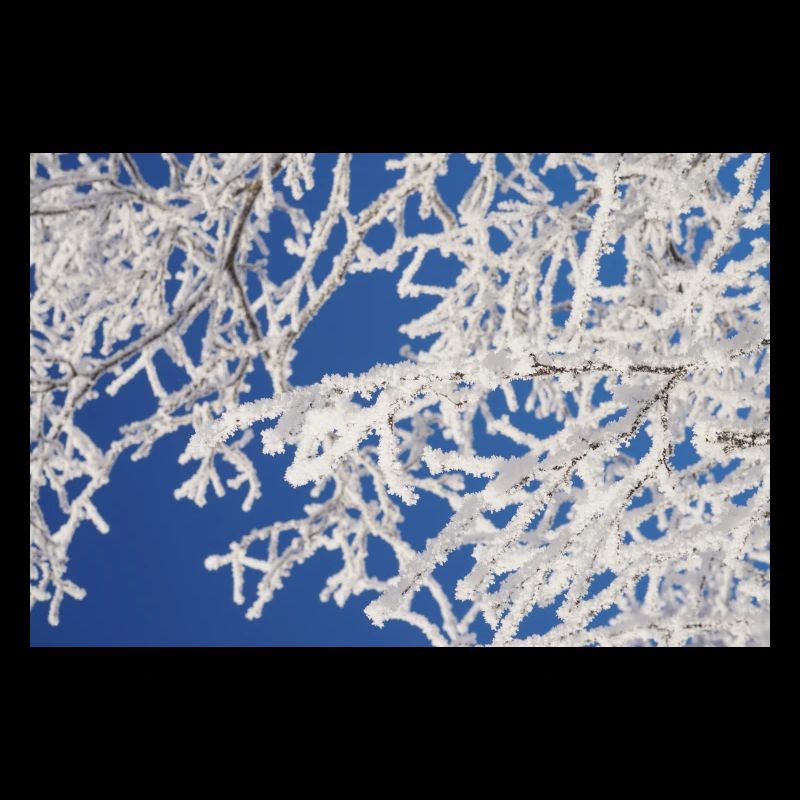 Schneeflocken