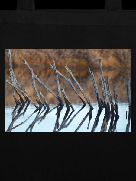 Natur Wurzel
