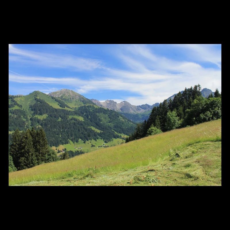 Landschaft