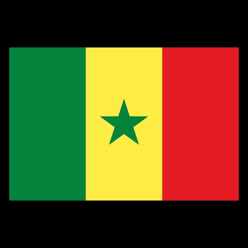 Drapeau Sénégal / Senegal flag
