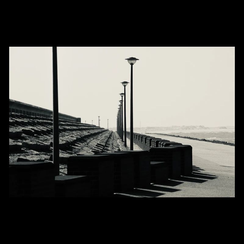 IMG 0025
