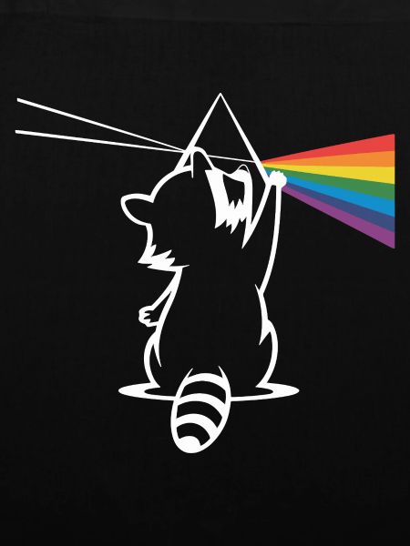Waschbär Mit Prisma Und Regenbogen Spektrum