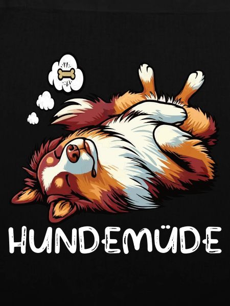 Hundemüde Australian Shepherd Aussie Aussiehalter