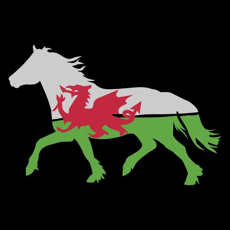 Welsh c Flagge