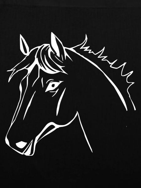 Pferde T-shirt Geschenk Reiter 