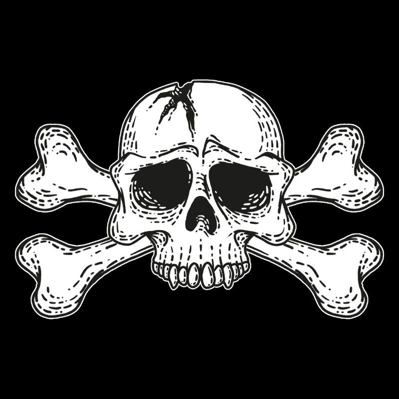 skull with bones