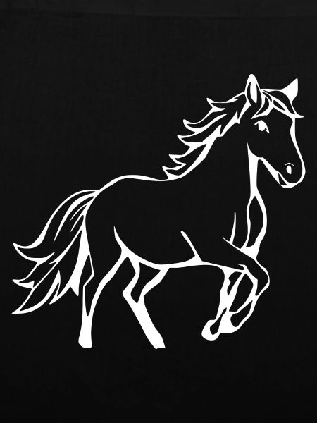 Pferde T-shirt Geschenk Reiter 