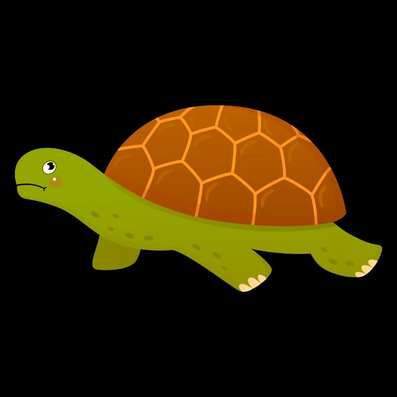 Turtle Tortoise Slow Run Runner Marathon