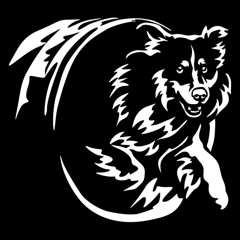Australian Shepherd "Black Edition"