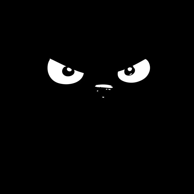 angry cat