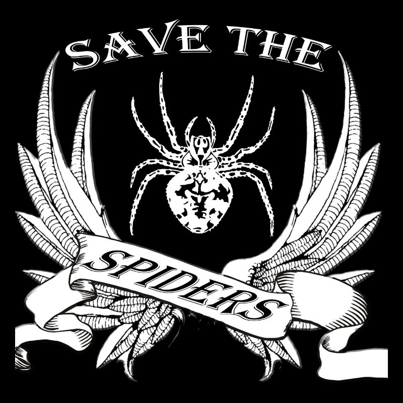 Spinne
