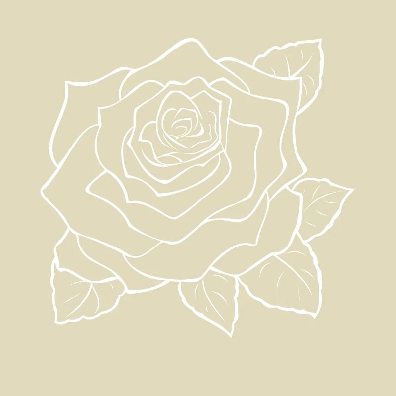 Große weiße Rose