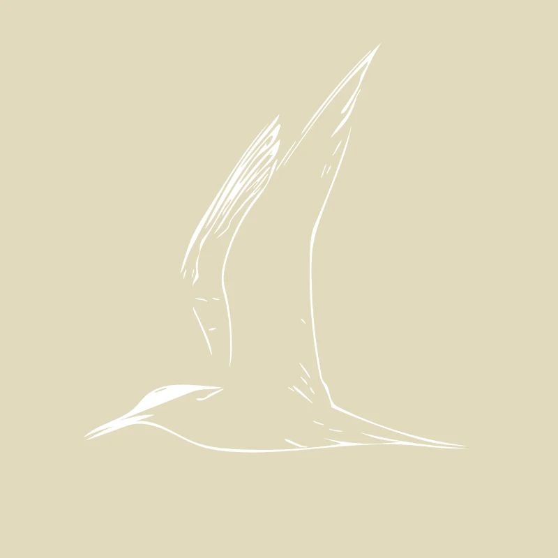 Möwe