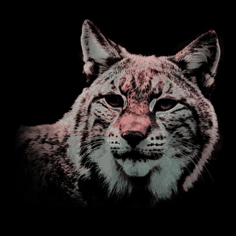 das wilde tier Luchs Wildkatze