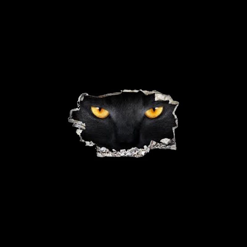 CHAT NOIR