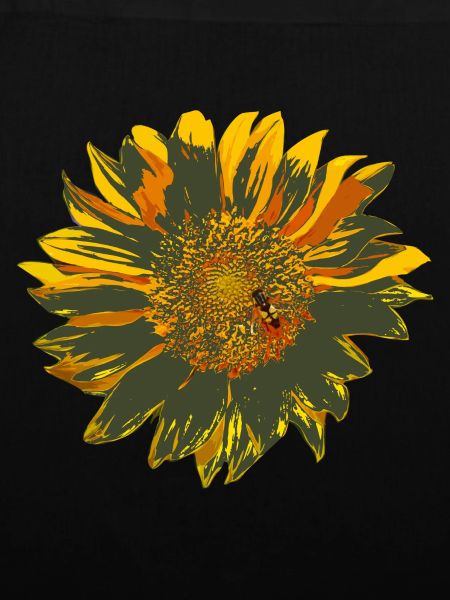 sonnenblume