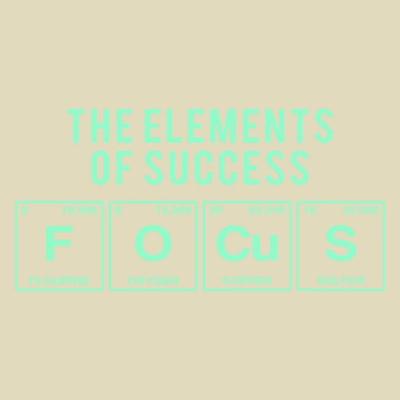 Drôle de dicton: FOCUS - Les éléments du succès