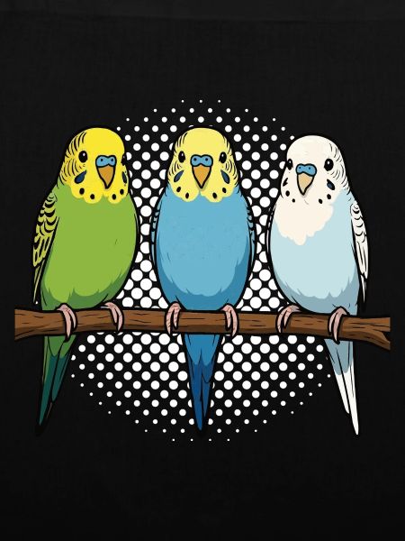 Budgerigars Budgie Owners Budgies