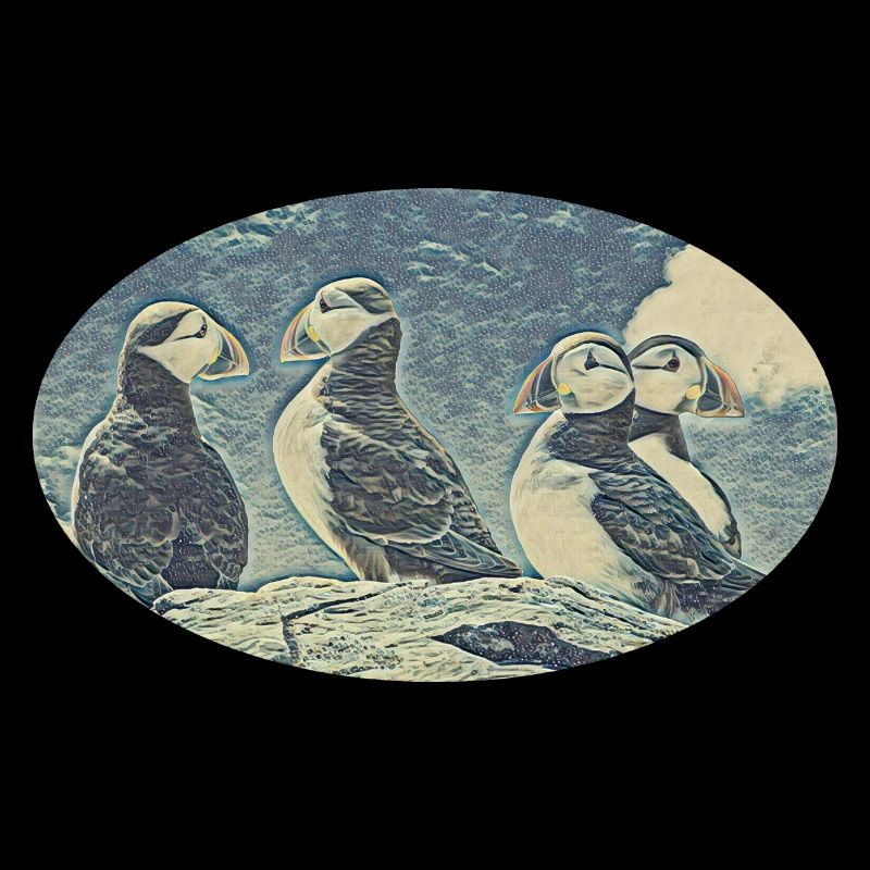 Plongeurs de perroquets