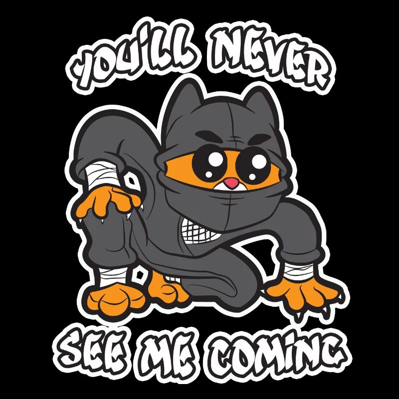 jolie idée de cadeau de chat ninja