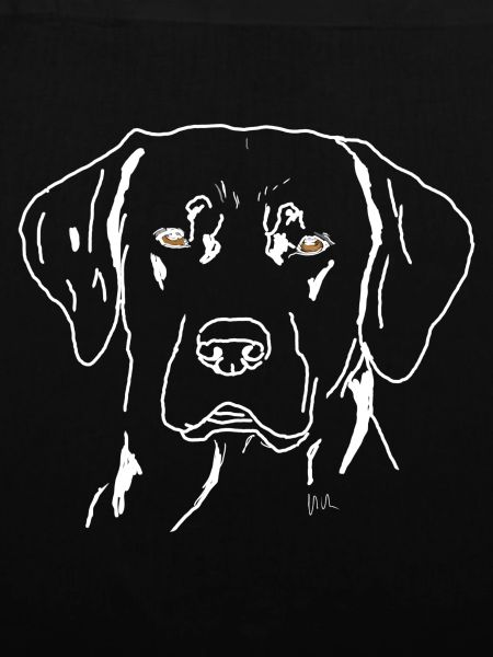 Labrador