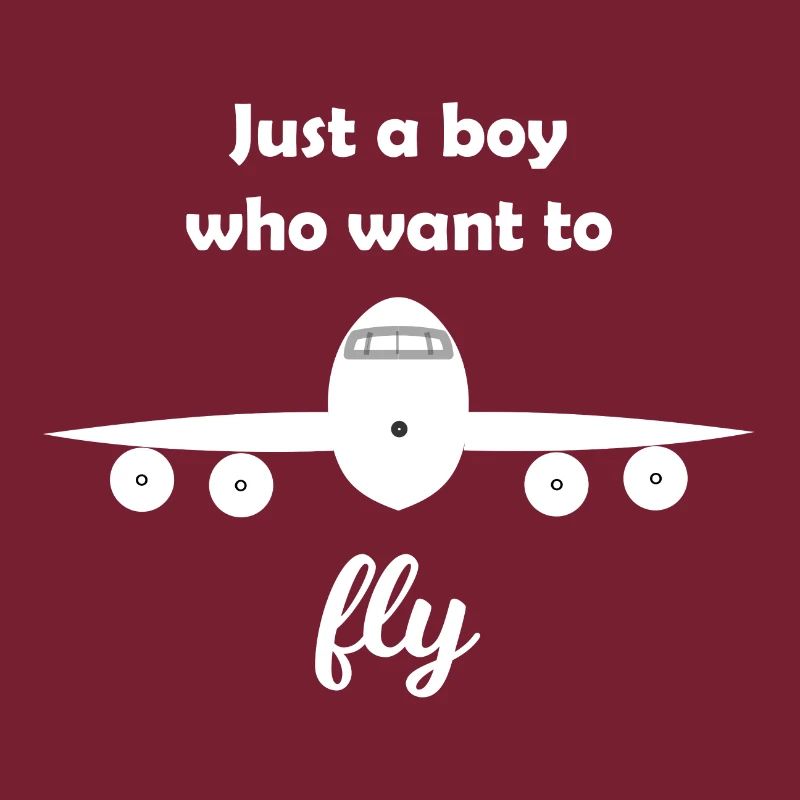 das Flugzeug