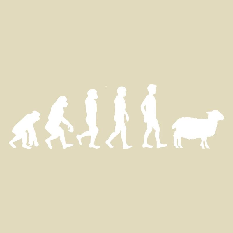 Evolution mouton