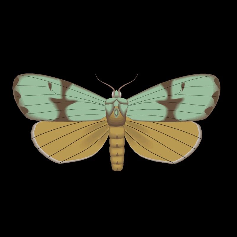 Papillon 115