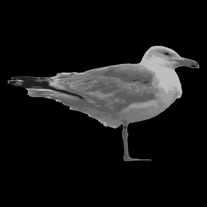 Möwe Design Geschenk Idee