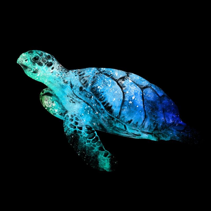 Sea turtle