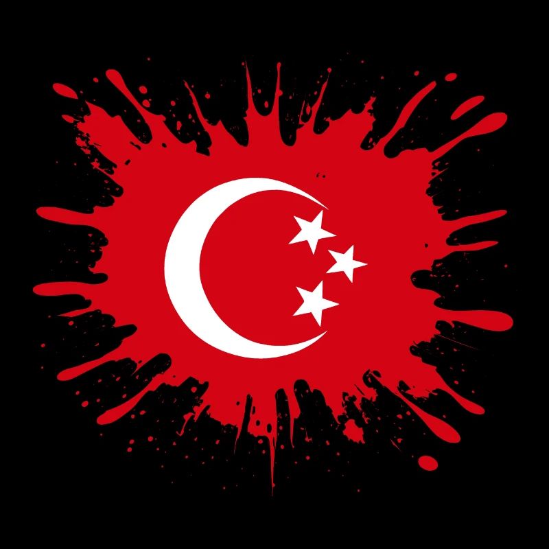 Türkische Flagge