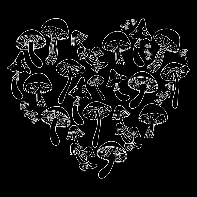 Steinpilze | Pfifferling | Champignons