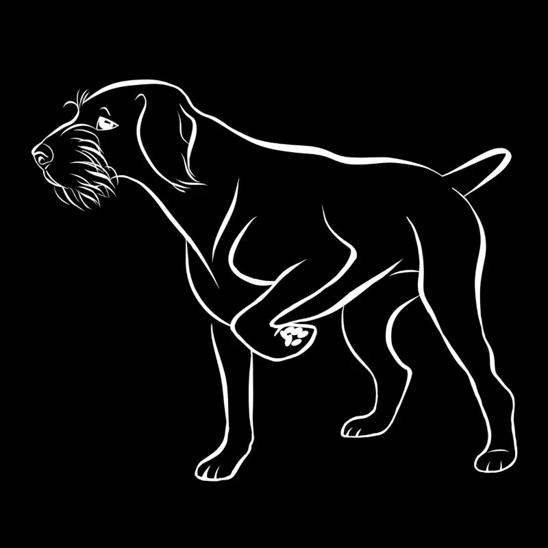 Dt wirehaired white above