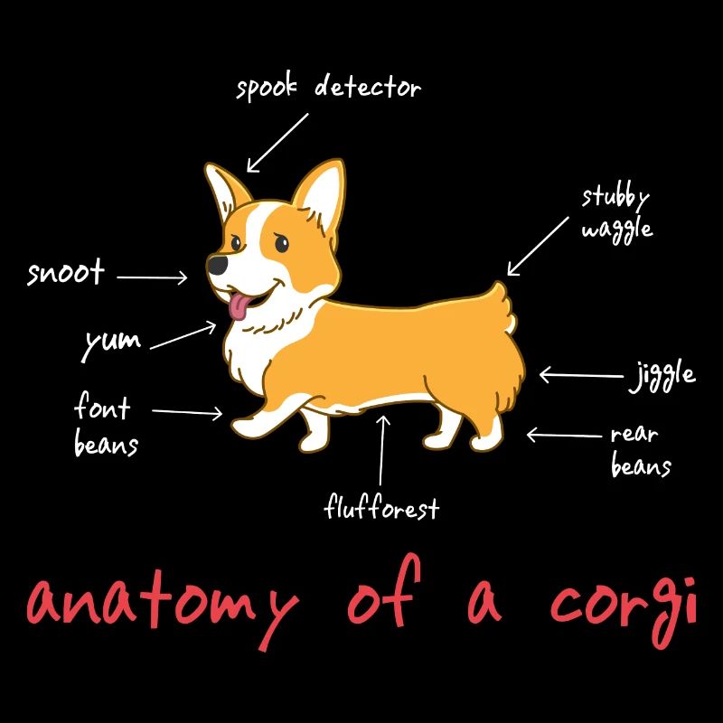Corgi-Liebhaber-Geschenk, Anatomie von Corgi