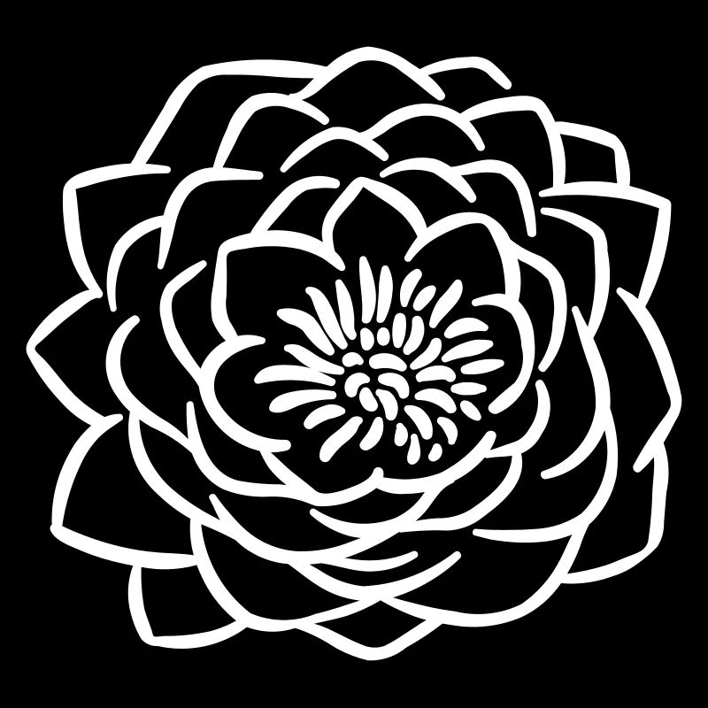 Lotusblume 4