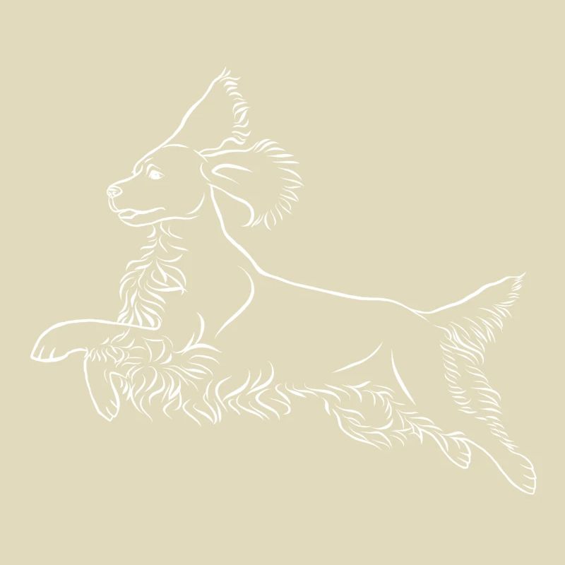 Springer Spaniel