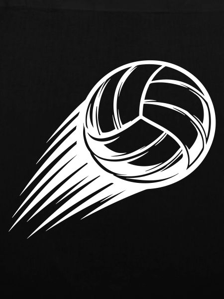 Volleyball Ball